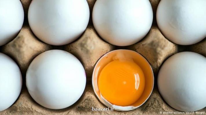 جریمه ۷۰۰ میلیون تومانی دو تولیدكننده تخم مرغ به علت گران فروشی