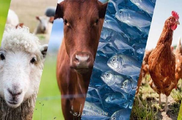 ورود نسل سوم نانومكمل های روی به بازار تا ماه آینده