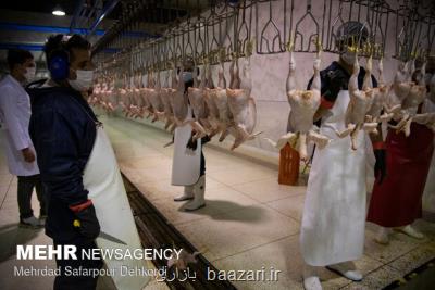 عرضه گوشت طیور در بهار امسال ۱۰ و نیم درصد افزایش یافت