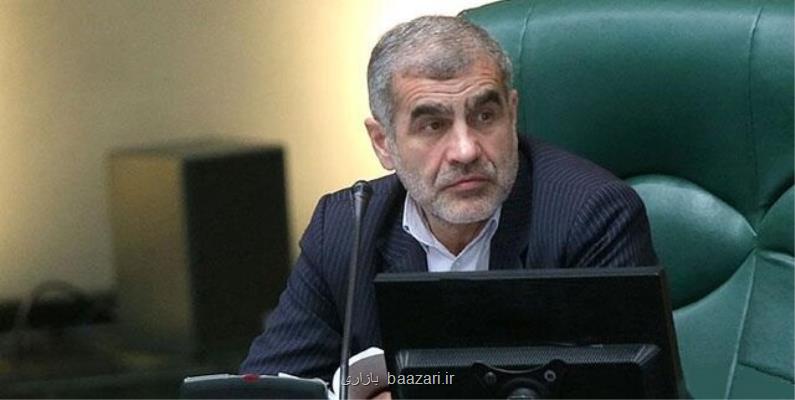 نیکزاد: مجلس از تولید داخلی حمایت می کند