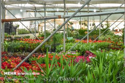 ۲ گلخانه محلات در فهرست سیاه بانک مرکزی قرار دارند