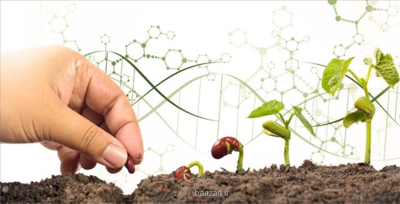 تولید کیت تشخیص آلاینده ها در پژوهشگاه بیوتکنولوژی کشاورزی