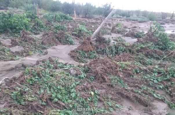 خسارت سیل به ۵۶۰ کیلومتر جاده بین مزارع پلدختر جبران نشده است