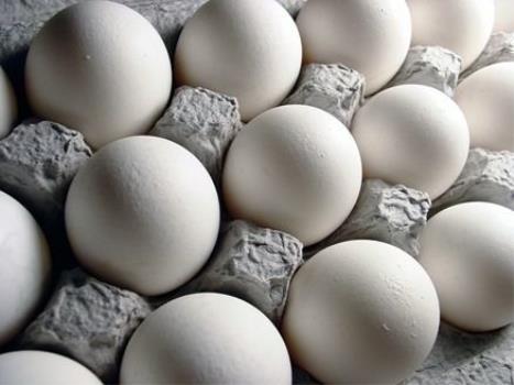 قیمت تخم مرغ کاهش یافت مغازه ها نرخ مصوب را اجرائی می کنند