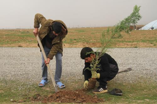استفاده از ظرفیت دانش بنیان ها برای کاشت یک میلیارد درخت