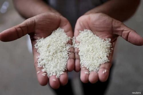 مالزی برای کاهش قیمت برنج چه می کند؟