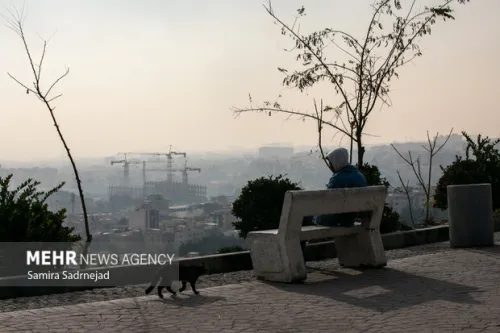 تهران در چنگال آلودگی چرا برخی ادارات مصوبات اضطرار را نادیده می گیرند