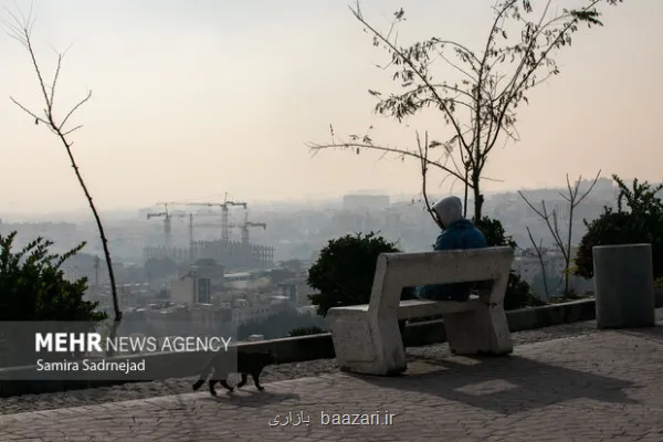 تهران در چنگال آلودگی چرا برخی ادارات مصوبات اضطرار را نادیده می گیرند