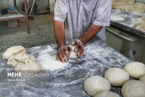 آیا اصلاح یارانه نان بدون شوک قیمتی امکانپذیر است؟