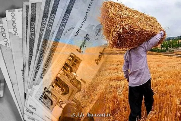 مجموع مطالبات پرداخت شده به گندمکاران به ۹۳ همت رسید