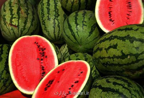 صادرات هندوانه ۱۰۰۰۰۰۰۰۰ دلاری شد
