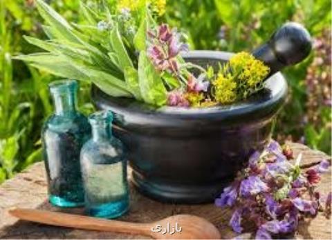 گسترش همكاری پژوهشگاه بیوتكنولوژی كشاورزی و فن بازار بین المللی گیاهان دارویی خراسان