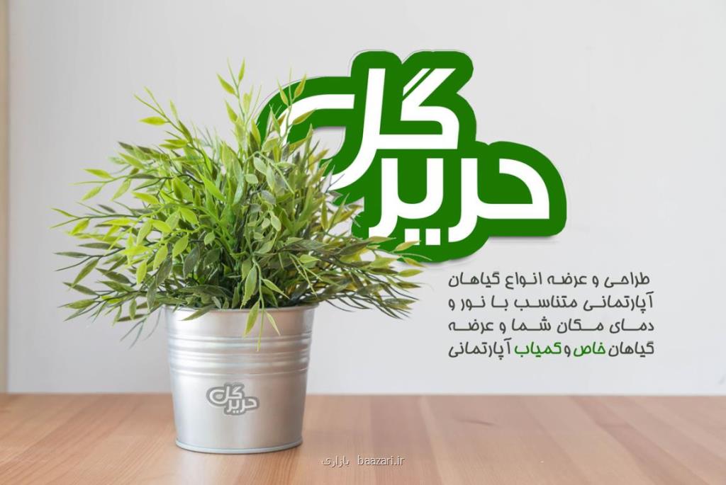 خوشگلاسیون منزل شما با گیاهان آپارتمانی