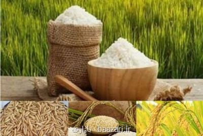 برنج یك گام تا بورسی شدن